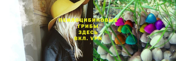 сатива Медвежьегорск