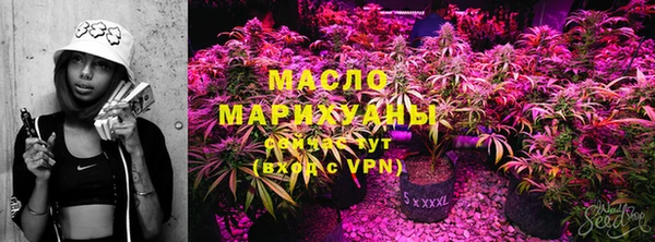 сатива Медвежьегорск