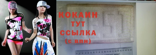 сатива Мегион