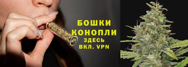 сатива Мегион