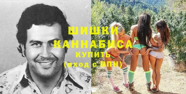 сатива Мегион