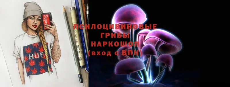 Псилоцибиновые грибы Psilocybine cubensis  blacksprut вход  Новое Девяткино 