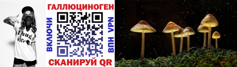 наркота  Новое Девяткино  Псилоцибиновые грибы ЛСД 