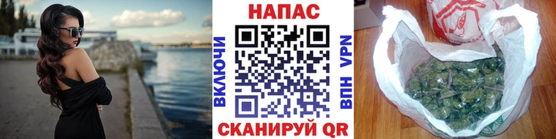 Каннабис OG Kush  Новое Девяткино 